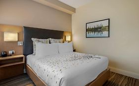 Best Western Plus Sawridge Suites